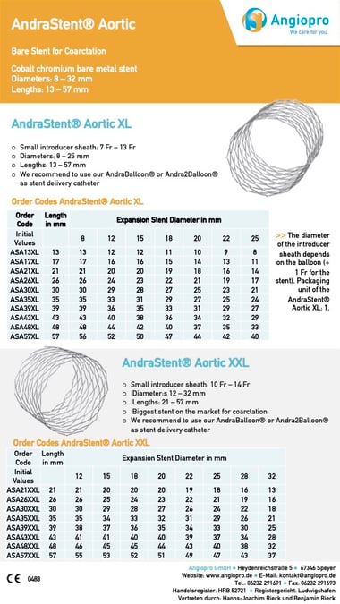 AndraStent Flyer